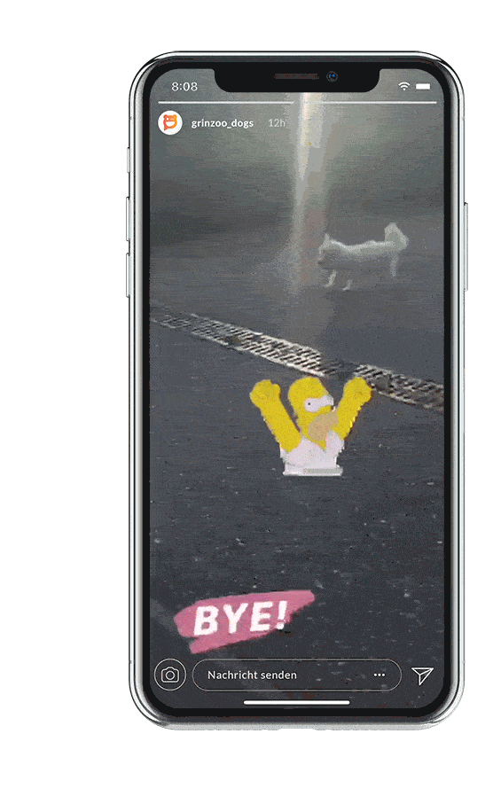 grinzoo-story-1 Grinzoo Story GIF