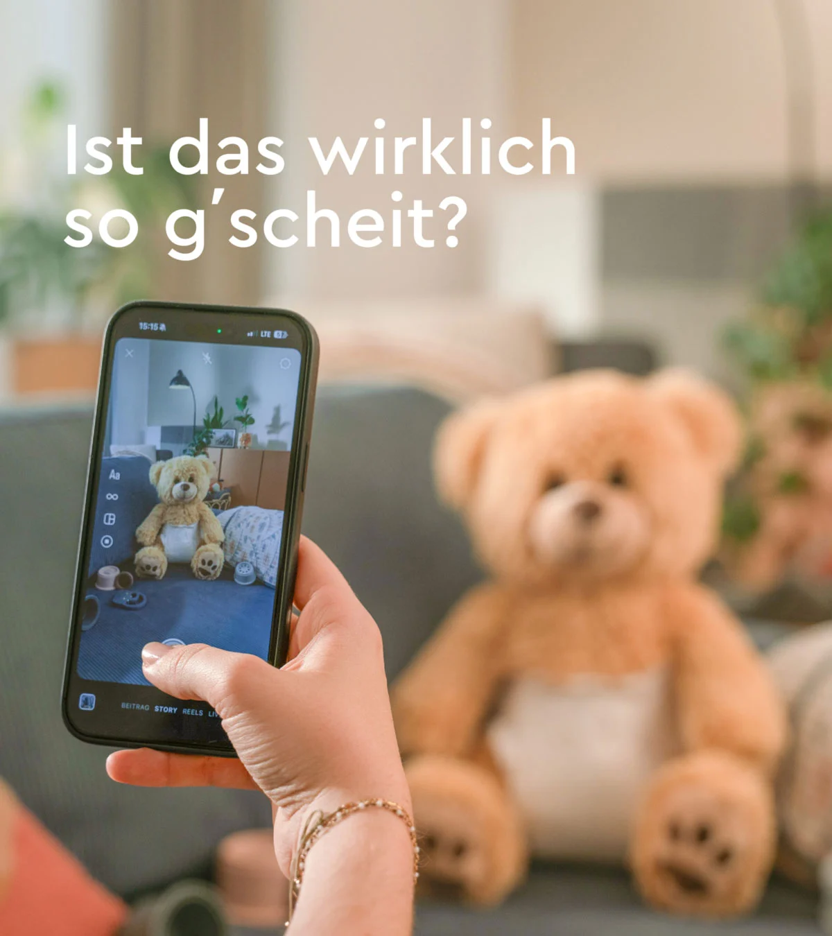 liwest_teddy-links